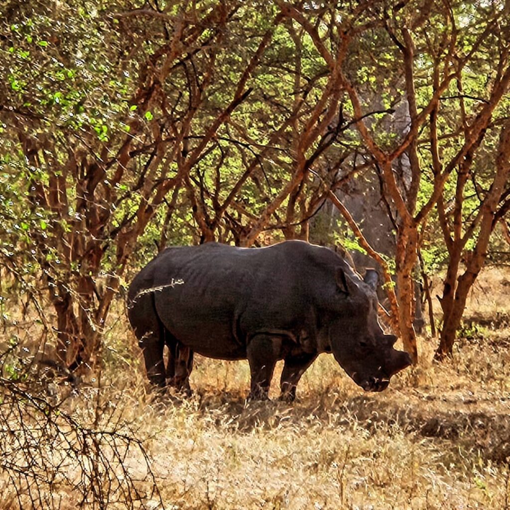 img 20251225 wa0024 (1)