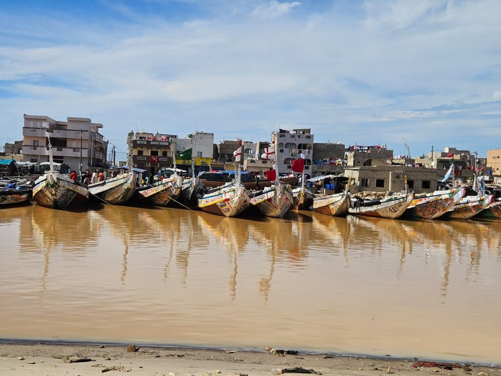 img 20251225 wa0048 (1)