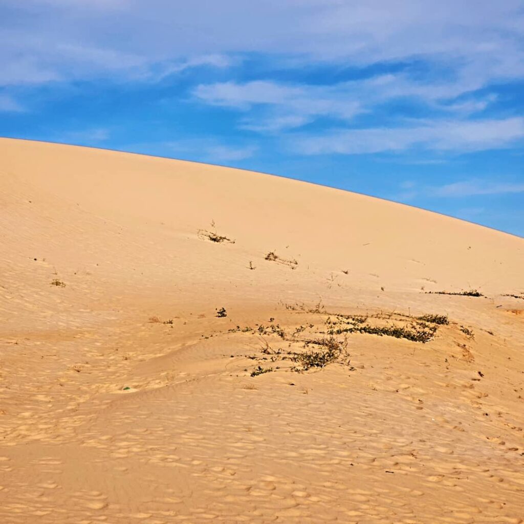 img 20251225 wa0083 (2)