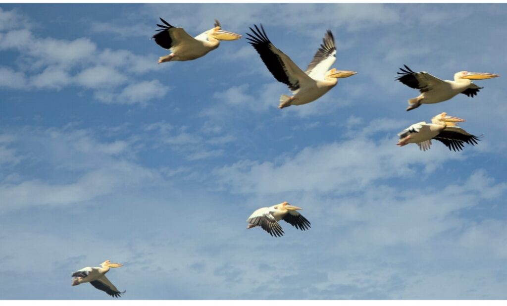 screenshot 2026 01 10 18 44 29 30 c37d74246d9c81aa0bb824b57eaf7062