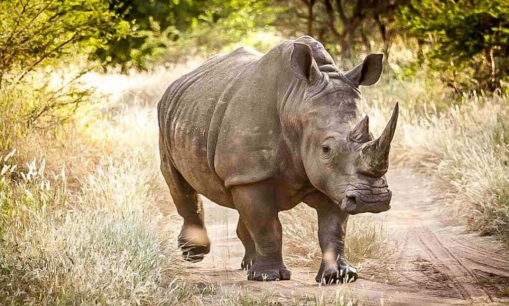 screenshot 2026 01 10 19 03 04 21 c37d74246d9c81aa0bb824b57eaf7062 (3)