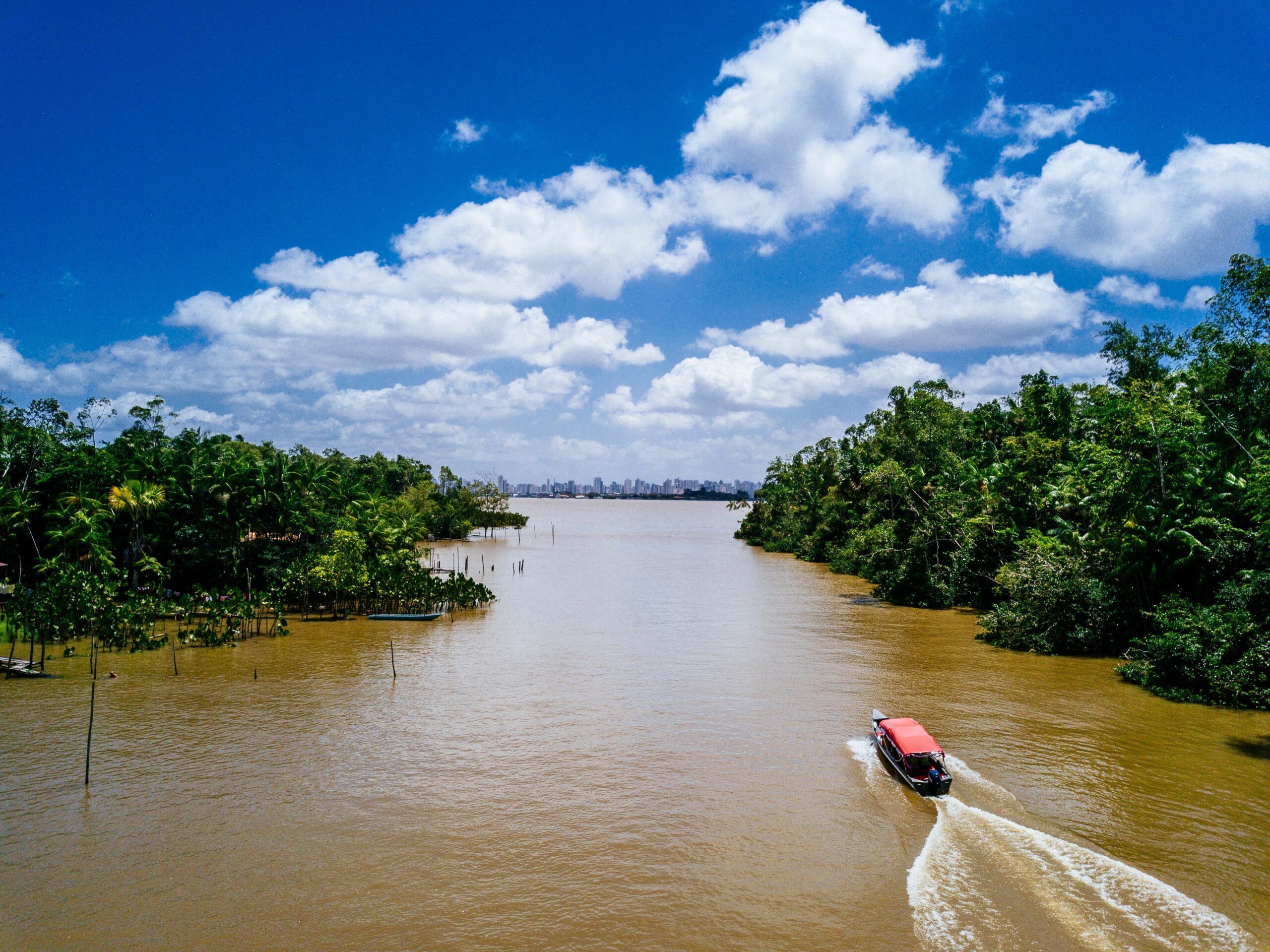 wide angle shot of a boat riding on a river and passing through the trees